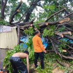 Gambar WhatsApp 2025-11-19 pukul 09.53.30_cedf4b14