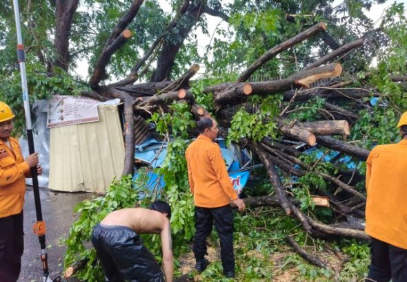 Gambar WhatsApp 2025-11-19 pukul 09.53.30_cedf4b14