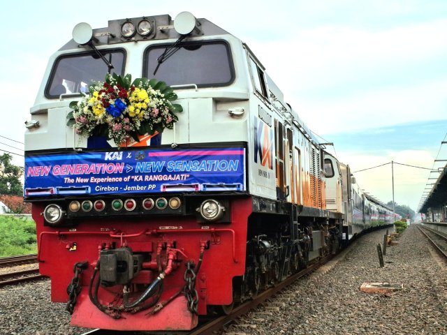 WhatsApp Image 2026-01-11 at 09.06.01