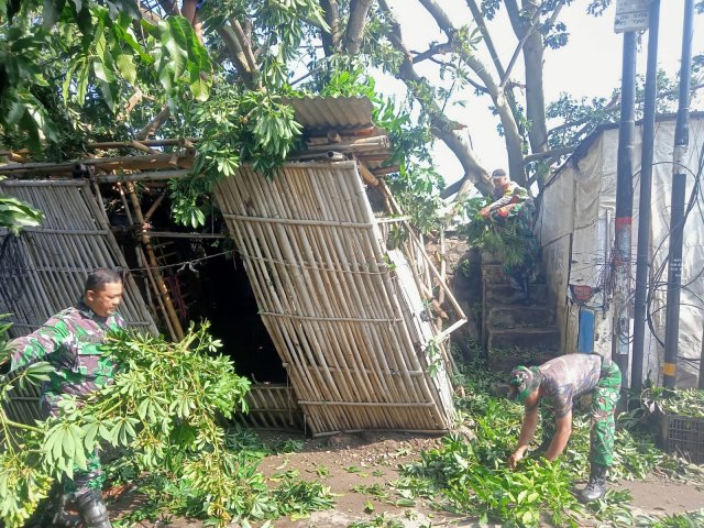 WhatsApp Image 2026-03-12 at 12.39.40