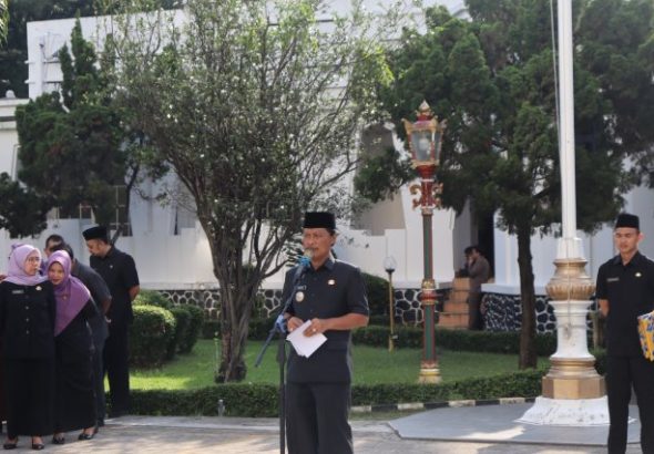 WhatsApp Image 2026-04-29 at 18.15.55