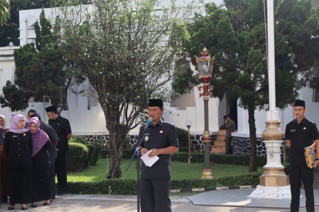 WhatsApp Image 2026-04-29 at 18.15.55