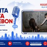 Desain tanpa judul