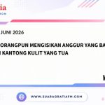 KAMIS (1)
